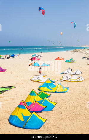 Kite-Surfer und kite-surfen am Kitebeach, Costa da Fragata, Santa Maria, Insel Sal, Kap Verde, Praia da Fragata, Atlantik Stockfoto