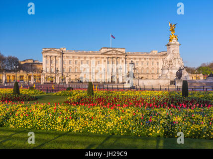 Buckingham Palace, London, England, Vereinigtes Königreich, Europa Stockfoto