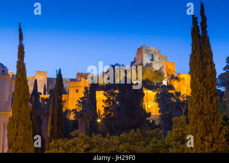 Beleuchtete Blick auf die Mauern der Alcazaba, Malaga, Costa Del Sol, Andalusien, Spanien, Europa Stockfoto