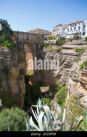 Ansicht von Ronda und Puente Nuevo aus Jardines De Cuenca, Ronda, Andalusien, Spanien, Europa Stockfoto