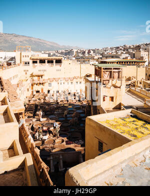 Chouara Gerberei, Medina, Fes el Bali, Fes, Marokko, Nordafrika, Afrika Stockfoto