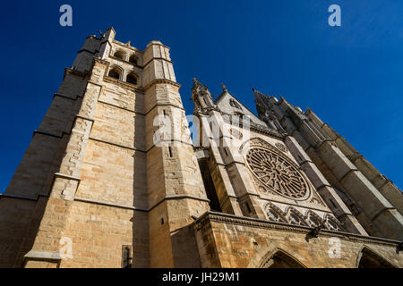 Kathedrale von León, Kastilien und León, Spanien Stockfoto
