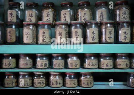 Traditionelle chinesische Medizin Apotheke.   Ho-Chi-Minh-Stadt. Vietnam. Stockfoto