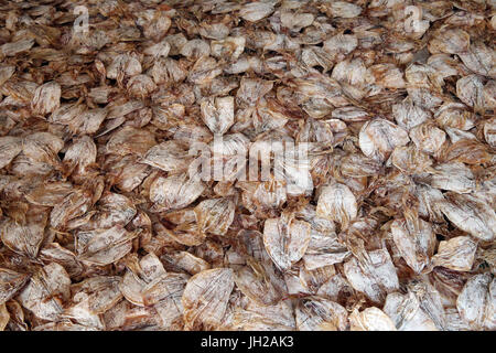 Vung Tau Fischmarkt.  Getrockneter Fisch zu verkaufen.  Vietnam. Stockfoto