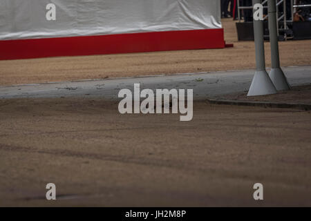 London, UK. 12. Juli 2017. Mutter mit Entenküken auf dem Exerzierplatz auf Horse Guards Parade während der spanischen königlichen Familie Staatsbesuch in der UK-Credit: Philip Pfund/Alamy Live News Stockfoto