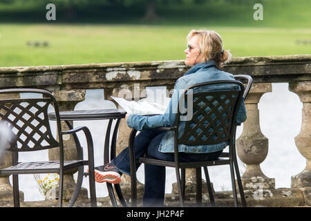 Fountians Abbey, Ripon, UK. 12. Juli 2017. Touristen genießen Sie Kaffee und Eis in das warme Wetter zu Fuß auf dem Gelände der Fountian Abtei wie wilde Rehe auf den Wiesen Schwäne füttern Treiben rund um den See, jungen Möwen in der Sonne aalen. Clifford Norton/Alamy Live-Nachrichten Stockfoto