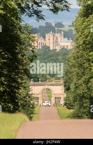 Fountians Abbey, Ripon, UK. 12. Juli 2017. Touristen genießen Sie Kaffee und Eis in das warme Wetter zu Fuß auf dem Gelände der Fountian Abtei wie wilde Rehe auf den Wiesen Schwäne füttern Treiben rund um den See, jungen Möwen in der Sonne aalen. Clifford Norton/Alamy Live-Nachrichten Stockfoto