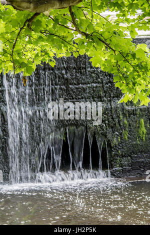 Fountians Abbey, Ripon, UK. 12. Juli 2017. Touristen genießen Sie Kaffee und Eis in das warme Wetter zu Fuß auf dem Gelände der Fountian Abtei wie wilde Rehe auf den Wiesen Schwäne füttern Treiben rund um den See, jungen Möwen in der Sonne aalen. Clifford Norton/Alamy Live-Nachrichten Stockfoto