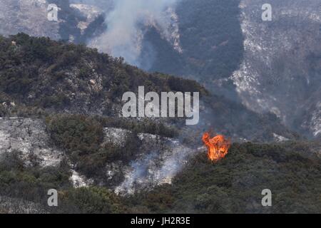 Goleta, Kalifornien, USA. 12. Juli 2017. Flammen entzünden an einem Berghang bei Whittier-Brand in Santa Barbara County östlich von Goleta, Kalifornien. Das Feuer erreicht 48 Prozent Containment ab dem 12. Juli. Bildnachweis: Joel Angel Juarez/ZUMA Draht/Alamy Live-Nachrichten Stockfoto