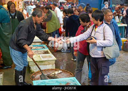 Lebende Fische gekauft und verkauft auf dem Open-Air-Fischmarkt in Kowloon, Hong Kong, China. Stockfoto