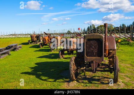 Rostige Oldtimer Traktoren im Feld. Museum-Installation. Stockfoto