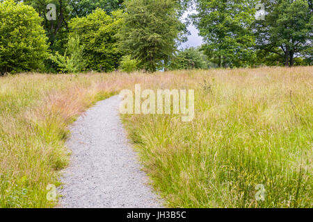 Wicklung kies Gehweg weg Wanderweg durch das hohe Gras im schönen Bereich im Naturschutzgebiet Model Release: Nein Property Release: Nein. Stockfoto