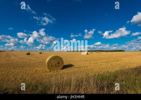 Englische Landschaft, Stonehenge, Wiltshire, Großbritannien Stockfoto