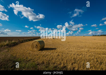 Englische Landschaft, Stonehenge, Wiltshire, Großbritannien Stockfoto