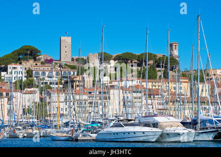 Alten Hafen, Le Suquet, Cannes, Frankreich Stockfoto