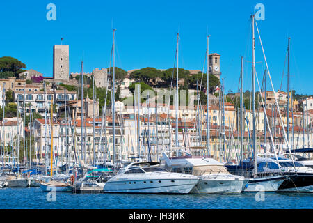 Alten Hafen, Le Suquet, Cannes, Frankreich Stockfoto