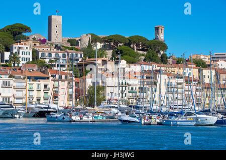 Alten Hafen, Le Suquet, Cannes, Frankreich Stockfoto