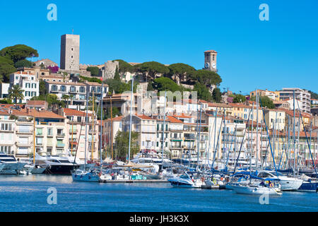 Alten Hafen, Le Suquet, Cannes, Frankreich Stockfoto