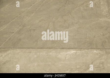 Linien von Nasca, Peru Stockfoto