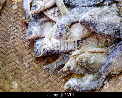 Getrockneter Fisch mit Salz zum Verkauf auf dem lokalen Markt in Asien Stadt. Stockfoto