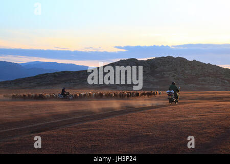 Kanas Xinjiang Ranch Stockfoto