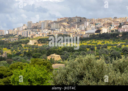 Olivenhaine am Stadtrand von Agrigento, Sizilien, Italien. Stockfoto