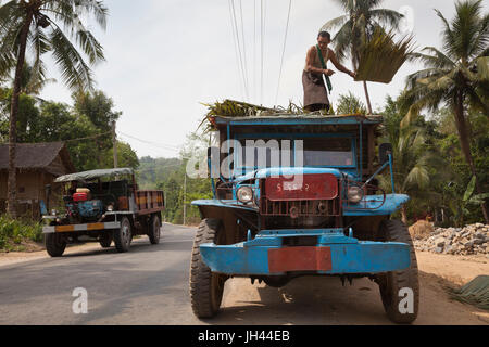 Oldtimer LKW noch in weit verbreiteten Einsatz heute in Myanmar. Geändert von WW2 ex US Army Dodge WC 51 Series 3/4 Ton 4 x 4 LKW-Ladung. Mon-Staat, Myanmar Stockfoto