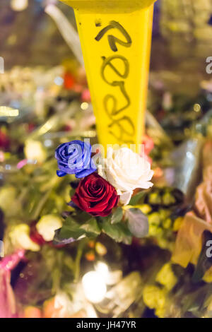 Blau-weiße und rote Rosen, iconic französischen Farben. Hommage an die Opfer der Terroranschläge in Paris, den 13. November 2015. Stockfoto