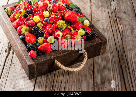 Sommer Obst und Beeren. 6 Arten von rohen Bio-Landwirt Beeren - Himbeeren Brombeeren Heidelbeeren Erdbeeren rote Johannisbeeren Stachelbeeren. Altrussische Stockfoto