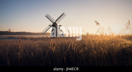 Hoar Milchglas Schilf und Morgennebel an Herringfleet Windmühle. Stockfoto