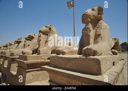 Karnak Sphingen Götter und Rams Stockfoto