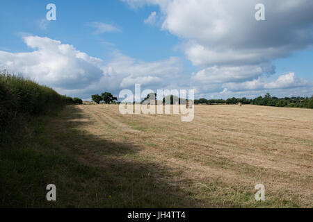 Heuernte in Buckinghamshire, Großbritannien Stockfoto