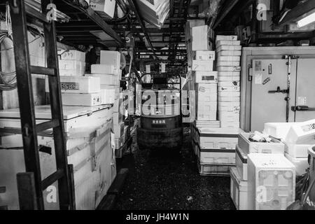 besuchen den berühmten Fischmarkt in Tokio Stockfoto