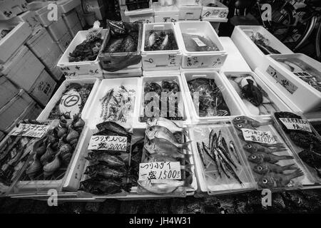 besuchen den berühmten Fischmarkt in Tokio Stockfoto