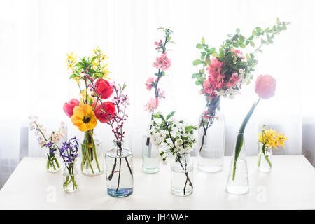 Verschiedene schöne Blumen in Gläser mit Wasser auf dem Tisch neben dem Fenster Stockfoto