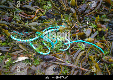 Meeresmüll (weggeworfene Angelschnüre) Stockfoto