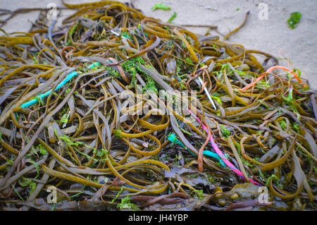 Meeresmüll (weggeworfene Angelschnüre) Stockfoto