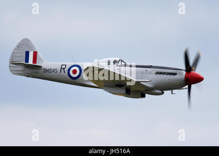 Supermarine Spitfire MkXVIII SM845 G-BUOS fliegt auf einer Flugschau Stockfoto