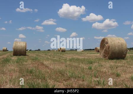 Runde Heuballen im Feld mit sonnigem Himmel mit Wolken in Texas Stockfoto