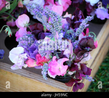 Erbse und Lavendel Sträuße auf dem Bauernmarkt, Bainbridge Island, WA. USA Stockfoto