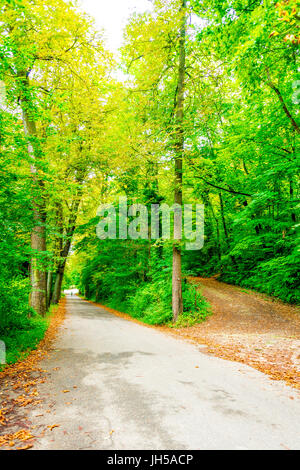 Schöne Aussicht vom Parc de Saint-Cloud. Es ist einer der schönsten Gärten Europas, und 2005 wurde der Park mit Dem Status "Beachtlicher Garten" ausgezeichnet. Stockfoto