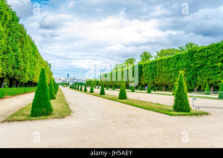 Schöne Reihen von Eibenbäumen im Parc Saint-Cloud, die sich größtenteils in Saint-Cloud, im Hauts-de-seine, in der Nähe von Paris, Frankreich befinden. Stockfoto