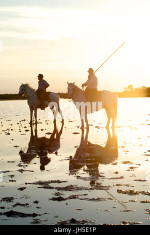 Montiert Rinder Hirte bekannt als Gardians in der Camargue-Delta im Süden Frankreichs. Stockfoto