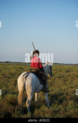 Montiert Rinder Hirte bekannt als Gardians in der Camargue-Delta im Süden Frankreichs. Stockfoto