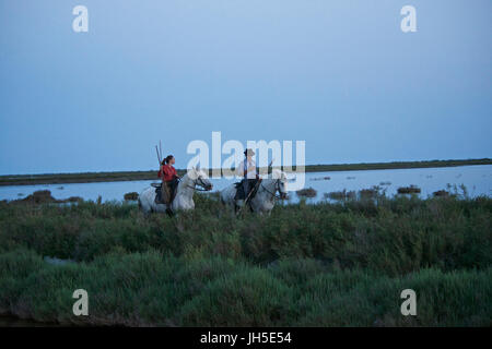 Montiert Rinder Hirte bekannt als Gardians in der Camargue-Delta im Süden Frankreichs. Stockfoto