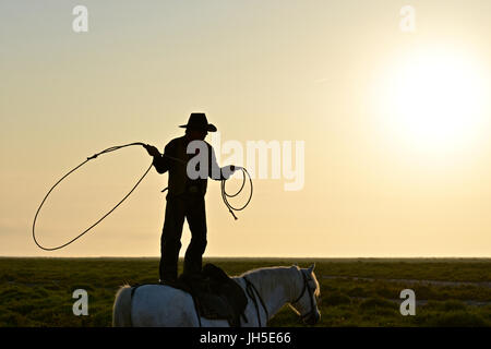 Gardian mit dem Lasso stehend auf einem Camargue-Pferd. Stockfoto