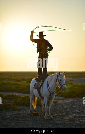 Gardian mit dem Lasso stehend auf einem Camargue-Pferd. Stockfoto