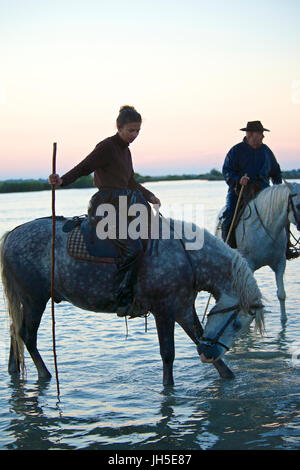 Montiert Rinder Hirte bekannt als Gardians in der Camargue-Delta im Süden Frankreichs. Stockfoto