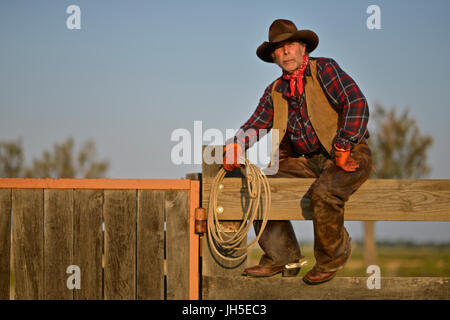 Camague Gardian, einem montierten Vieh Hirten in der Camargue-Delta in der Provence, Südfrankreich. Stockfoto