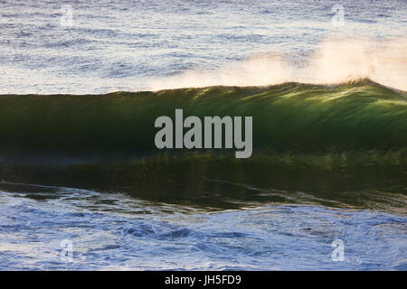 Eine schöne, smaragdgrüne Welle ist Gegenlicht durch das helle Morgenlicht, da es Wappen und Pausen auf eine flache Sandbank. Stockfoto